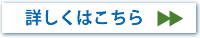 FLASH携帯ゲームの詳しい情報はこちら